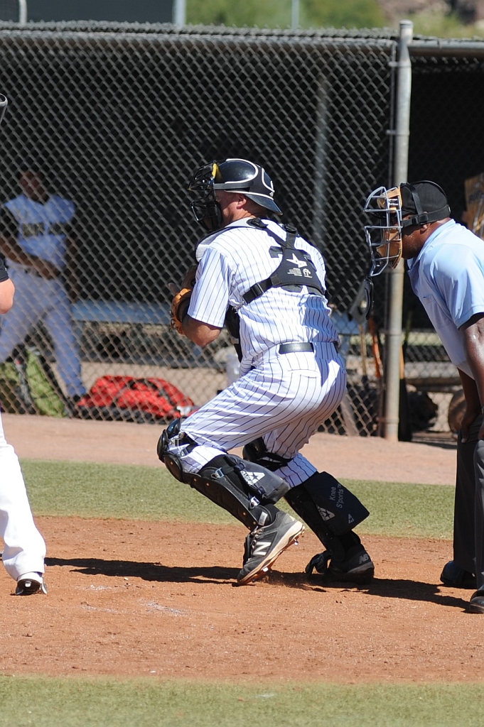 Seals_2017-10-12 (588).JPG - (c)2010 DeVetter